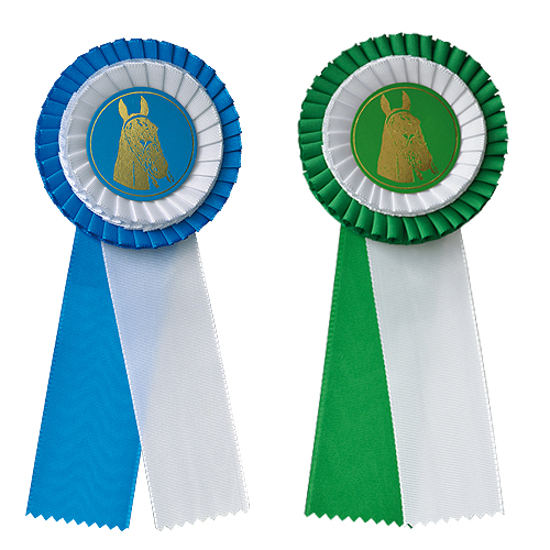 ESCARAPELA 2 COLORES