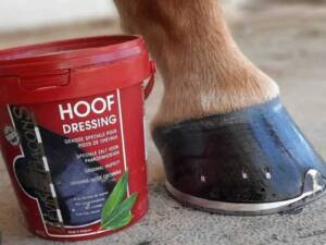 pomada-para-cascos-kevin-bacon-s-hoof-dressing