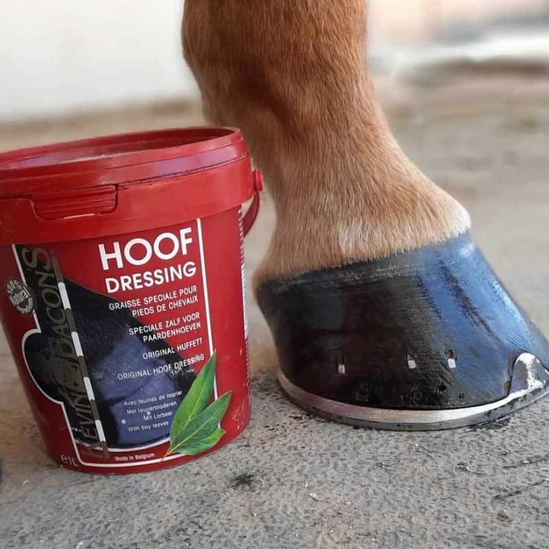 pomada-para-cascos-kevin-bacon-s-hoof-dressing