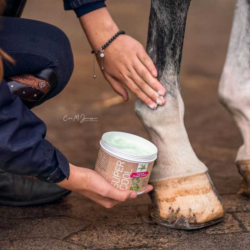 super-cool-gel-de-tendones-bense-eicke (1)