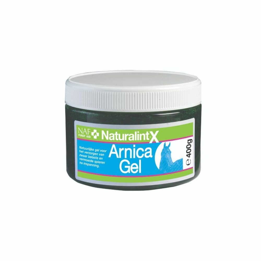 ARNICA GEL 400 GR