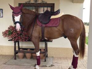 juego-de-mantilla-orejeras-venda7