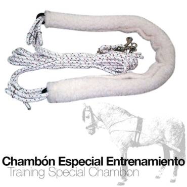 CHAMBON ESPECIAL ENTRENAMIENTO 420601