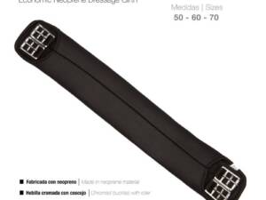 CINCHA DOMA NEOPRENO ECONÓMICA