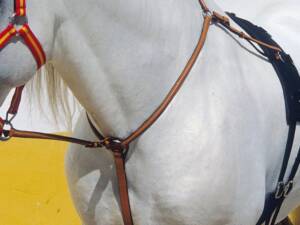 PECHOPETRAL CON TIJERILLAS INGLES KAMELL