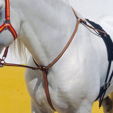 PECHOPETRAL CON TIJERILLAS INGLES KAMELL