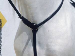 PECHOPETRAL CON GAMARRA INGLES KAMELL