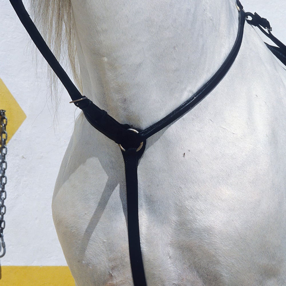 PECHOPETRAL CON GAMARRA INGLES KAMELL