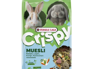 CRISPY RABBIT