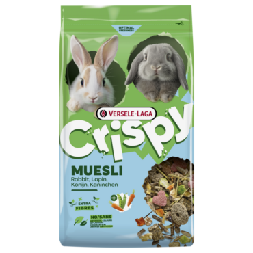 CRISPY RABBIT