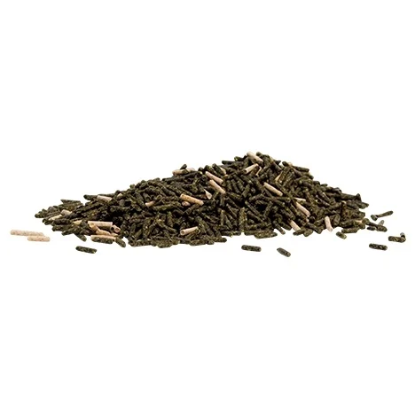BIOTINFORTE