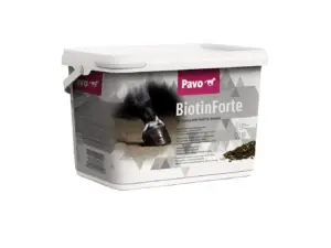 BIOTINFORTE